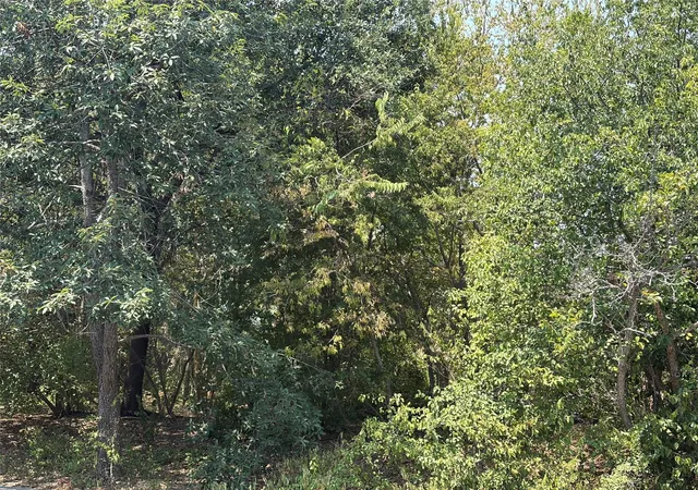 Photo 3 of Land for sale at 2006 Travis Heights Blvd, Austin, TX 78704 | MLS# 2039684 | Listing updated on 2026-08-26