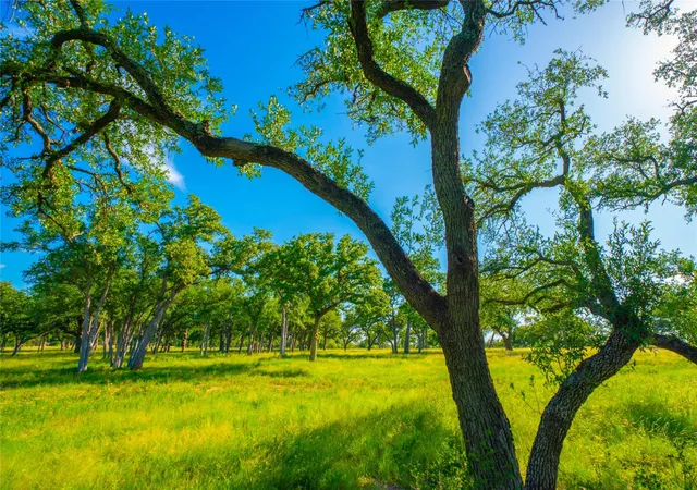 Photo 3 of Land for sale at 0 Rocky Creek Rnch, Johnson City, TX 78636 | MLS# 5228214 | Listing updated on 2026-09-28