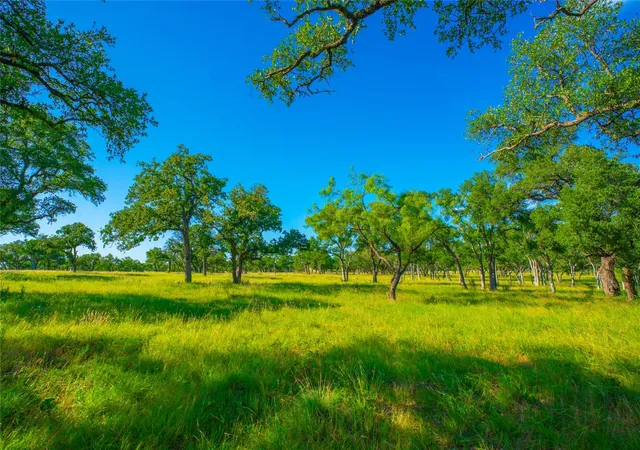 Land for sale at 0 Rocky Creek Rnch, Johnson City, TX 78636 | MLS# 5228214