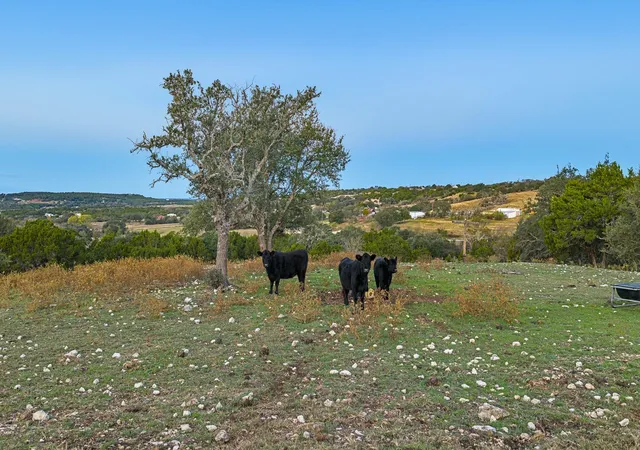 Photo 3 of House for sale at 4237 County Road 330 Rd, Burnet, TX 78611 | MLS# 7335248 | Listing updated on 2026-08-26