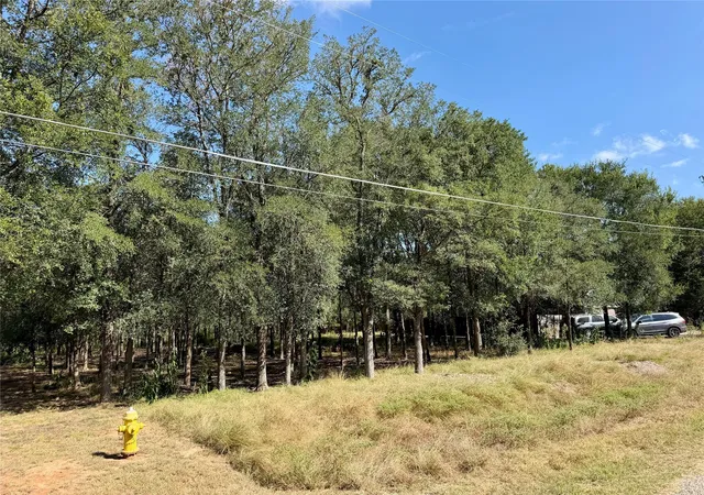 Photo 1 of Land for sale at 208 Waipahoehoe Dr, Bastrop, TX 78602 | MLS# 2962817 | Listing updated on 2026-08-29