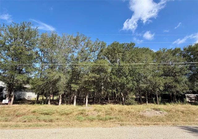 Photo 2 of Land for sale at 208 Waipahoehoe Dr, Bastrop, TX 78602 | MLS# 2962817 | Listing updated on 2026-08-29