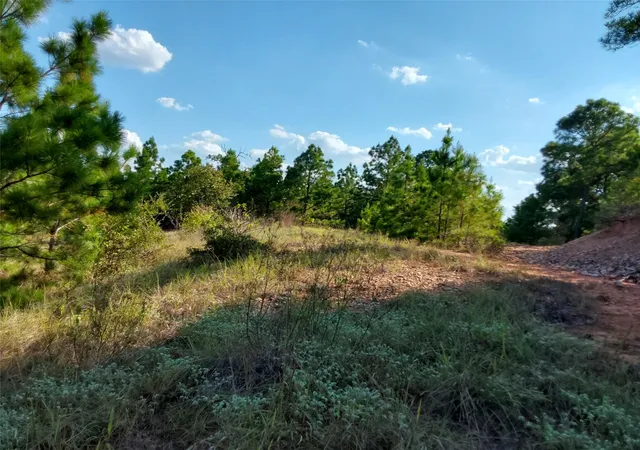 Photo 1 of Land for sale at 909 Hana Court St, Bastrop, TX 78602 | MLS# 6000052 | Listing updated on 2026-09-03