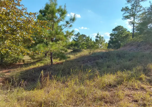 Photo 2 of Land for sale at 909 Hana Court St, Bastrop, TX 78602 | MLS# 6000052 | Listing updated on 2026-09-03