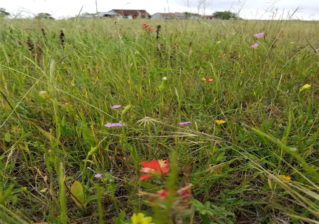 Photo 2 of Land for sale at 7194 Goehring Rd, Ledbetter, TX 78946 | MLS# 6323078 | Listing updated on 2026-10-06