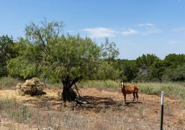 Photo 4 of Single family home for sale at 3322 County Rd 1020, Lampasas, TX 76550 | MLS# 6887074 | Listing updated on 2026-10-02