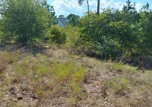 Photo 2 of Land for sale at 128 Mokalau Dr, Bastrop, TX 78602 | MLS# 9098296 | Listing updated on 2026-09-16