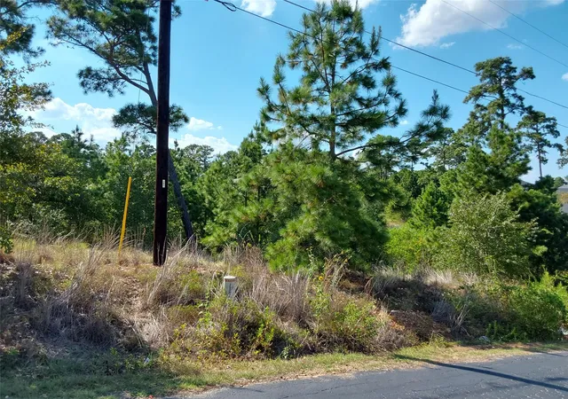 Photo 3 of Land for sale at 128 Mokalau Dr, Bastrop, TX 78602 | MLS# 9098296 | Listing updated on 2026-09-16