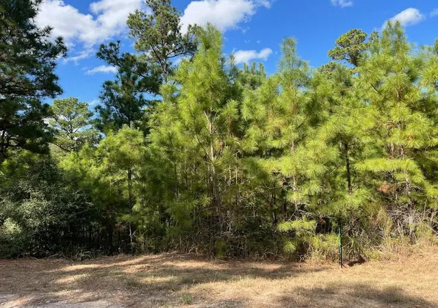 Photo 1 of Land for sale at Lot 986 Kailua L Ln, Bastrop, TX 78602 | MLS# 9207578 | Listing updated on 2026-08-31