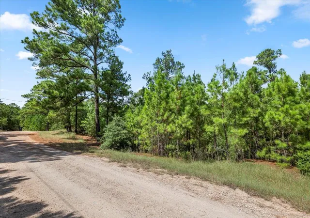 Photo 3 of Land for sale at Lot 986 Kailua L Ln, Bastrop, TX 78602 | MLS# 9207578 | Listing updated on 2026-08-31