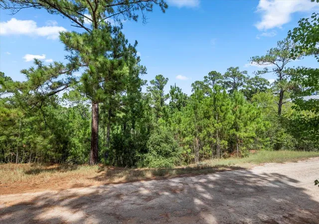 Photo 4 of Land for sale at Lot 986 Kailua L Ln, Bastrop, TX 78602 | MLS# 9207578 | Listing updated on 2026-08-31