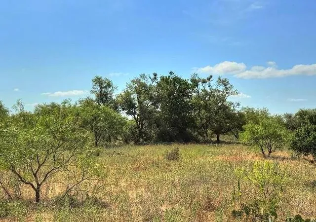 Photo 17 of Land for sale at Lot 3 Us Hwy 190, Lometa, TX 78853 | MLS# 5996332 | Listing updated on 2026-08-31