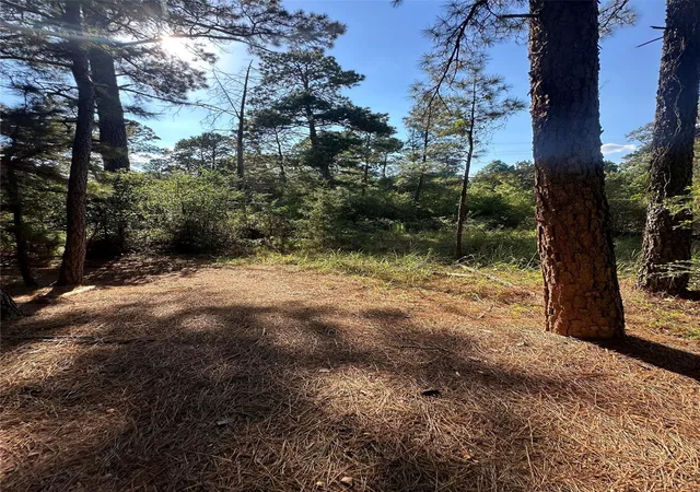 Photo 2 of Land for sale at 0 Pine Oak Dr, Bastrop, TX 78602 | MLS# 1179148 | Listing updated on 2026-09-01