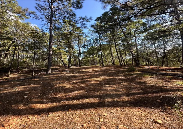 Photo 3 of Land for sale at 0 Pine Oak Dr, Bastrop, TX 78602 | MLS# 1179148 | Listing updated on 2026-09-01