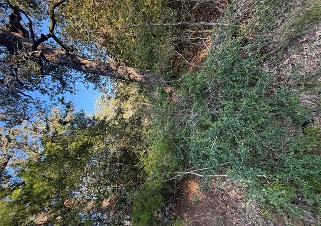 Photo 2 of Land for sale at Lot 194 Kaelepulu Dr, Bastrop, TX 78602 | MLS# 2373019 | Listing updated on 2026-09-05