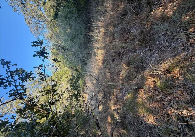 Photo 3 of Land for sale at Lot 194 Kaelepulu Dr, Bastrop, TX 78602 | MLS# 2373019 | Listing updated on 2026-09-05