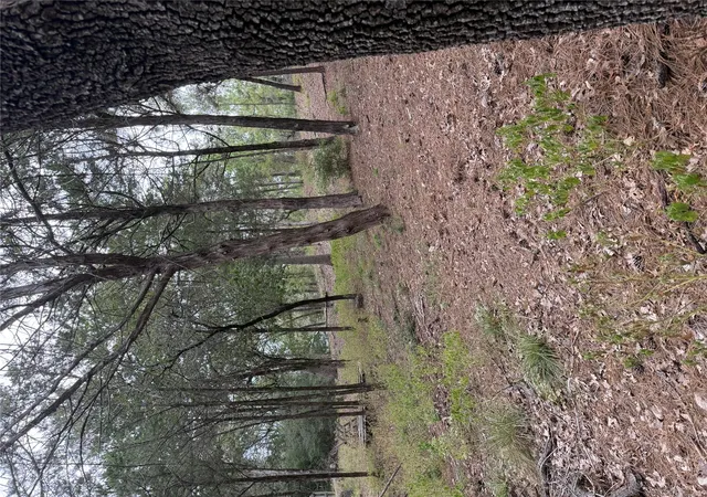 Photo 1 of Land for sale at Multiple Lots Aka Ct, Bastrop, TX 78602 | MLS# 9057228 | Listing updated on 2026-09-14
