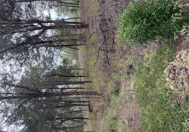 Photo 2 of Land for sale at Multiple Lots Aka Ct, Bastrop, TX 78602 | MLS# 9057228 | Listing updated on 2026-09-14