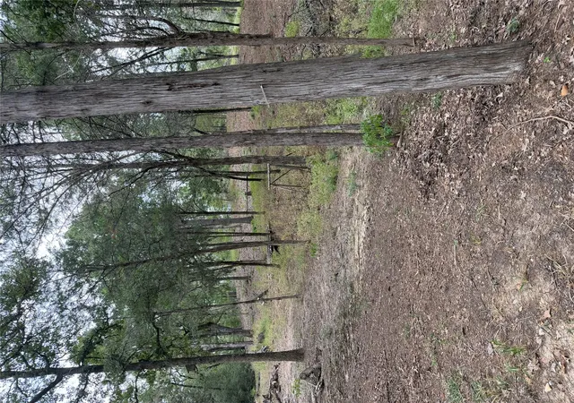 Photo 3 of Land for sale at Multiple Lots Aka Ct, Bastrop, TX 78602 | MLS# 9057228 | Listing updated on 2026-09-14