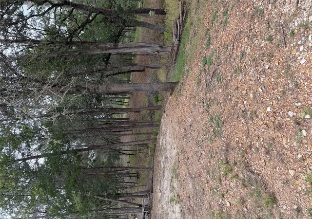 Photo 3 of Land for sale at Multiple Lots Aka Ct, Bastrop, TX 78602 | MLS# 9057228 | Listing updated on 2026-09-14