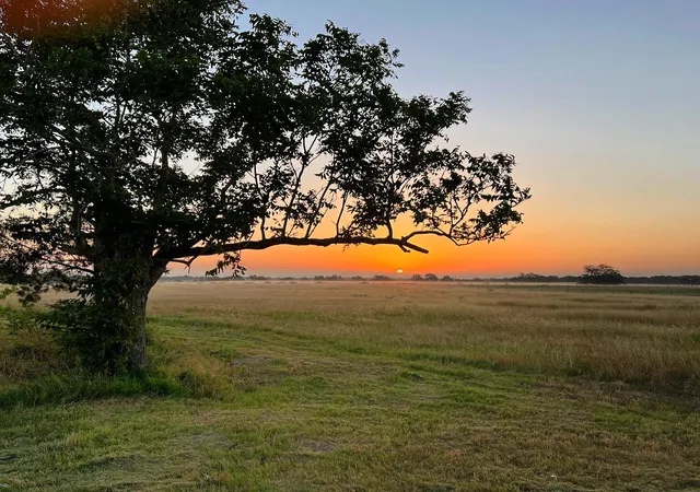 Photo 1 of Land for sale at 7188 Goehring Rd, Ledbetter, TX 78946 | MLS# 5534980 | Listing updated on 2026-10-01