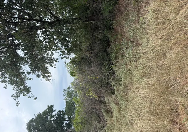 Photo 3 of Land for sale at Lot 236 Kaelupulu Dr, Bastrop, TX 78602 | MLS# 8627167 | Listing updated on 2026-09-04