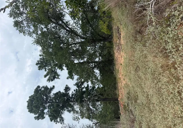 Photo 2 of Land for sale at Lot 237 Kaelupulu Dr, Bastrop, TX 78602 | MLS# 9416386 | Listing updated on 2026-09-04