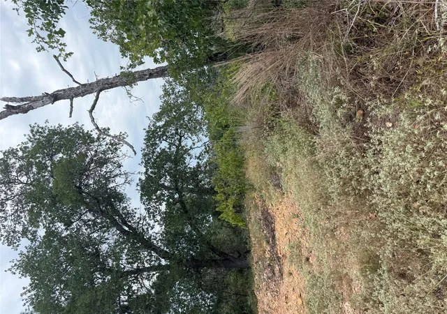 Photo 3 of Land for sale at Lot 237 Kaelupulu Dr, Bastrop, TX 78602 | MLS# 9416386 | Listing updated on 2026-09-04