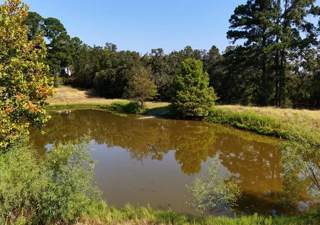 Photo 4 of Single family home for sale at 218 Little Ranch Rd, Red Rock, TX 78662 | MLS# 9475724 | Listing updated on 2026-09-24