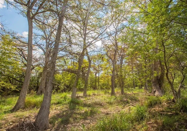 Photo 2 of Land for sale at 401 Bow Wood Dr, Utopia, TX 78884 | MLS# 7432771 | Listing updated on 2026-09-06