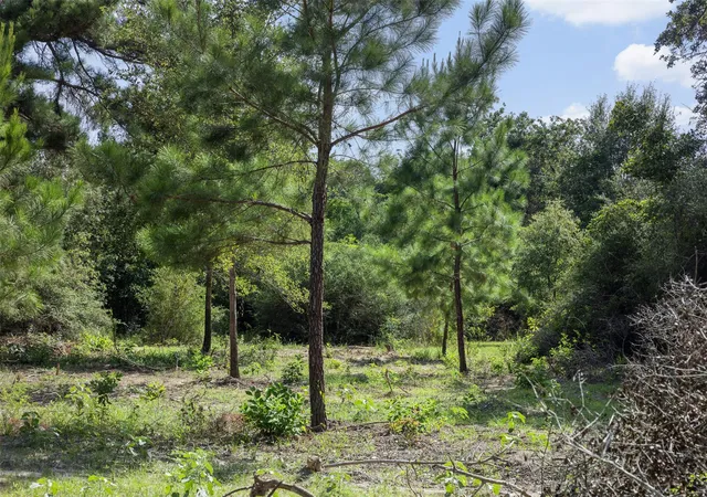 Photo 4 of House for sale at 422 Private Rd 7051, Milano, TX 76556 | MLS# 3379622 | Listing updated on 2026-09-04