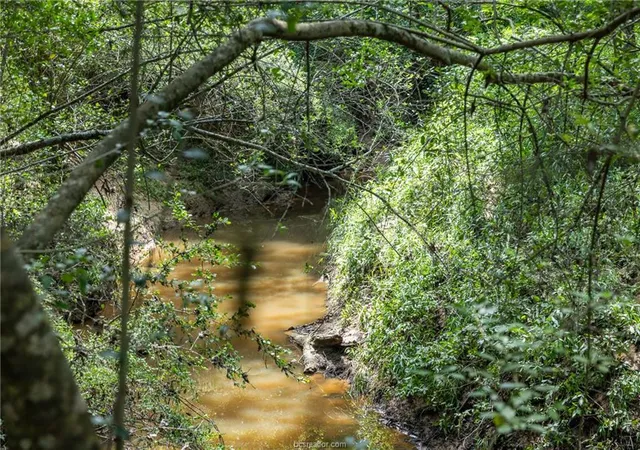 Photo 3 of Land for sale at Tbd Weber Rd, Bryan, TX 77808 | MLS# 8380656 | Listing updated on 2026-09-05