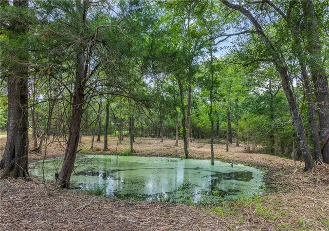 Photo 4 of Land for sale at Tbd Weber Rd, Bryan, TX 77808 | MLS# 8380656 | Listing updated on 2026-09-05