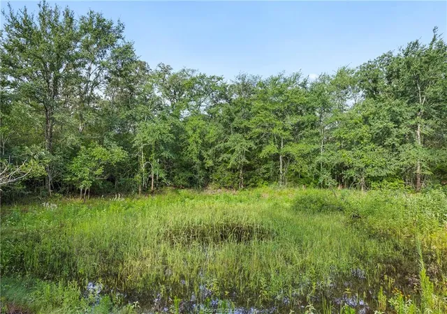 Photo 1 of Land for sale at 5163 County Rd 358, Gause, TX 77857 | MLS# 3563058 | Listing updated on 2026-09-05