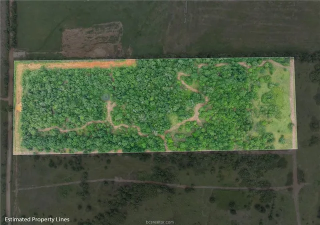 Photo 2 of Land for sale at 5163 County Rd 358, Gause, TX 77857 | MLS# 3563058 | Listing updated on 2026-09-05