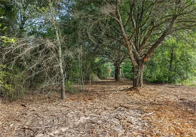 Photo 3 of Land for sale at 5163 County Rd 358, Gause, TX 77857 | MLS# 3563058 | Listing updated on 2026-09-05
