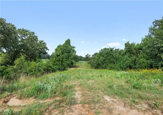 Photo 3 of House for sale at 5163 County Rd 358, Gause, TX 77857 | MLS# 3563058 | Listing updated on 2026-09-05