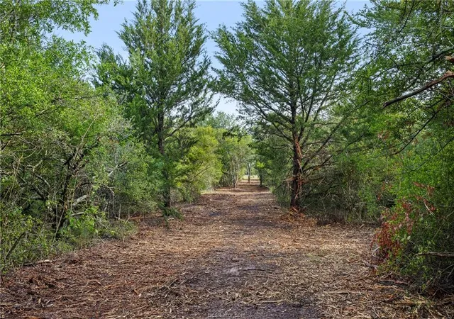 Photo 4 of House for sale at 5163 County Rd 358, Gause, TX 77857 | MLS# 3563058 | Listing updated on 2026-09-05