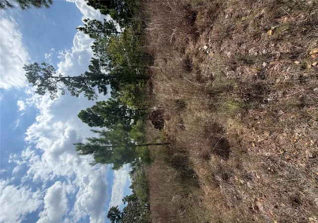 Photo 3 of Land for sale at Lot 1189 Awehi Ln, Bastrop, TX 78602 | MLS# 7751181 | Listing updated on 2026-09-07