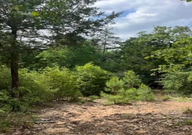 Photo 1 of Land for sale at Lot 1114 Kaohikaipu Dr, Bastrop, TX 78602 | MLS# 6474513 | Listing updated on 2026-09-07