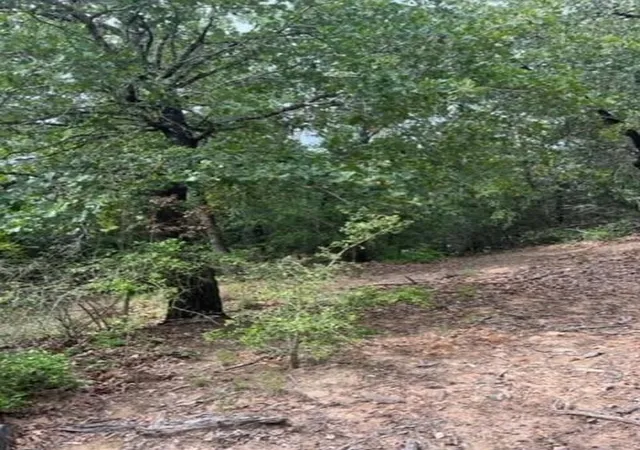 Photo 2 of Land for sale at Lot 1114 Kaohikaipu Dr, Bastrop, TX 78602 | MLS# 6474513 | Listing updated on 2026-09-07
