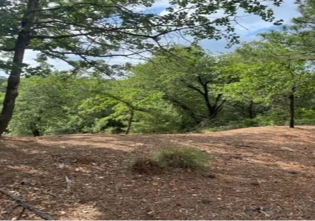 Photo 3 of Land for sale at Lot 1114 Kaohikaipu Dr, Bastrop, TX 78602 | MLS# 6474513 | Listing updated on 2026-09-07