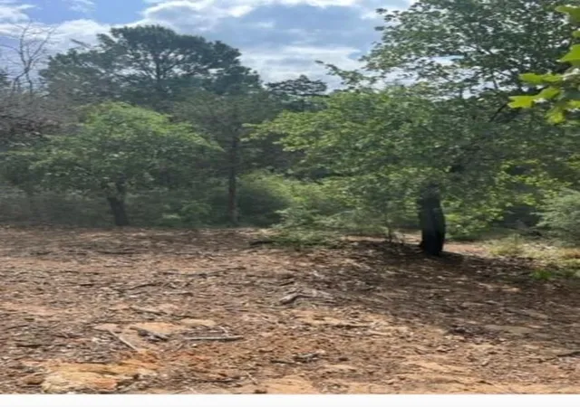 Photo 4 of Land for sale at Lot 1114 Kaohikaipu Dr, Bastrop, TX 78602 | MLS# 6474513 | Listing updated on 2026-09-07