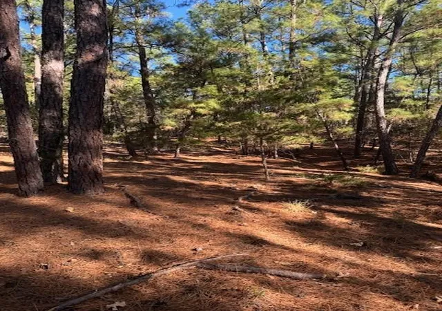 Land for sale at Lot 1395 Kaupa Ct, Bastrop, TX 78602 | MLS# 8099003