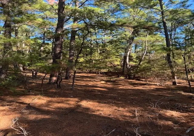 Photo 3 of Land for sale at Lot 1395 Kaupa Ct, Bastrop, TX 78602 | MLS# 8099003 | Listing updated on 2026-09-07