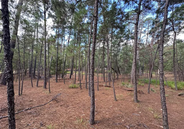 Land for sale at Tbd Otto Ln & Red Fox Rd, La Grange, TX 78945 | MLS# 5784421