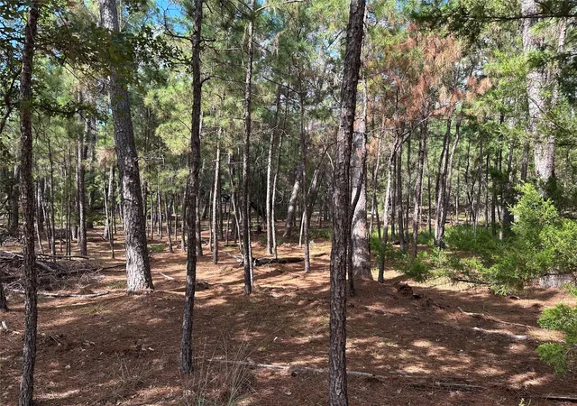 Photo 2 of Land for sale at Tbd Otto Ln & Red Fox Rd, La Grange, TX 78945 | MLS# 5784421 | Listing updated on 2026-09-21