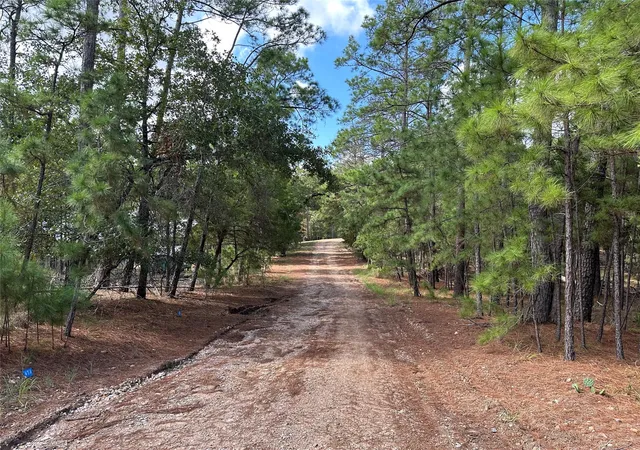 Photo 3 of Land for sale at Tbd Otto Ln & Red Fox Rd, La Grange, TX 78945 | MLS# 5784421 | Listing updated on 2026-09-21