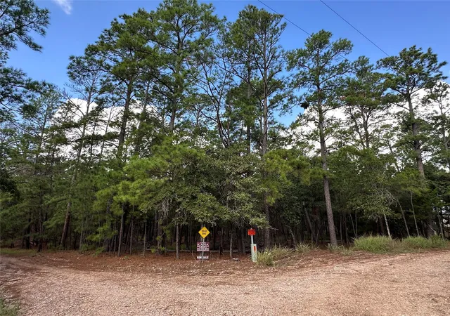 Photo 4 of Land for sale at Tbd Otto Ln & Red Fox Rd, La Grange, TX 78945 | MLS# 5784421 | Listing updated on 2026-09-21