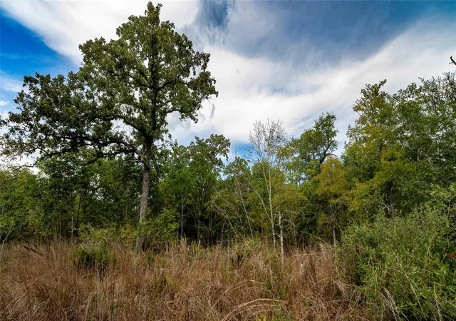 Photo 2 of Land for sale at Tbd Cr 405, Buckholts, TX 76518 | MLS# 9017724 | Listing updated on 2026-10-09